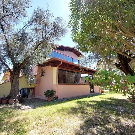 Ferienwohnung Casa L' Antico Ulivo Iglesias Exterior foto