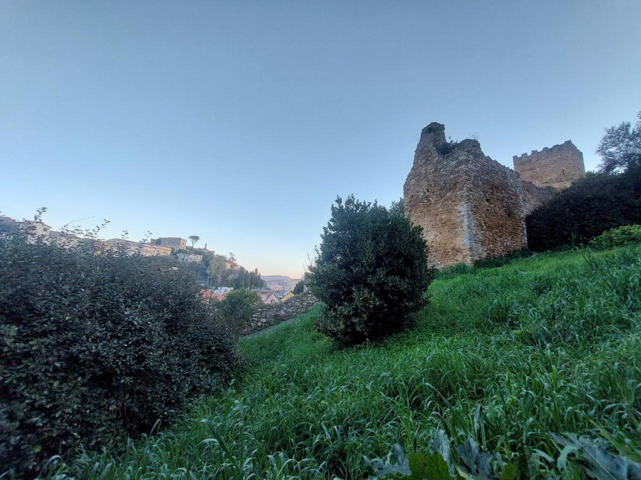 Ferienwohnung Casa L' Antico Ulivo Iglesias Exterior foto