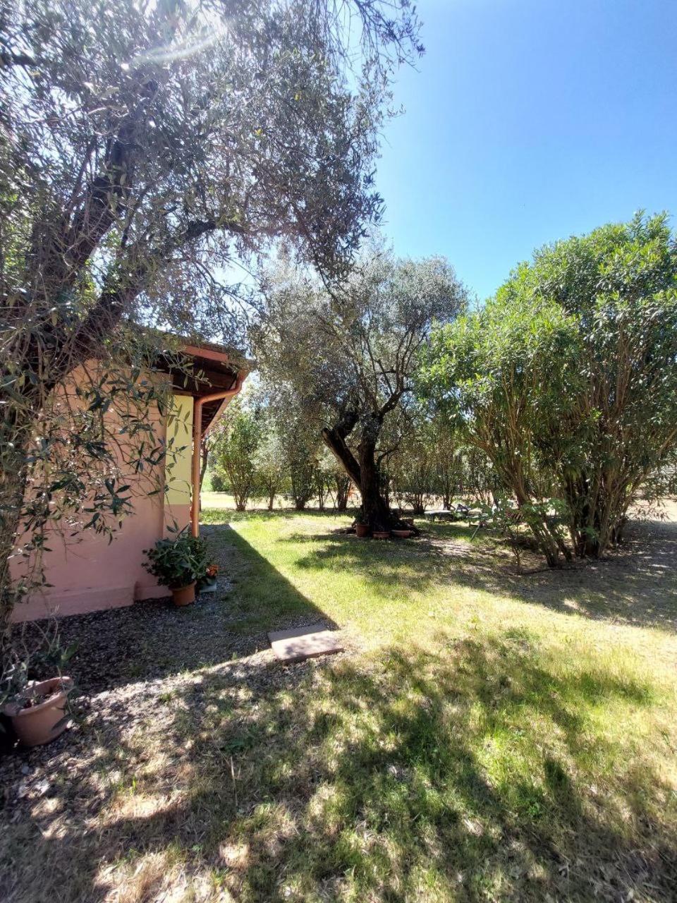 Ferienwohnung Casa L' Antico Ulivo Iglesias Exterior foto