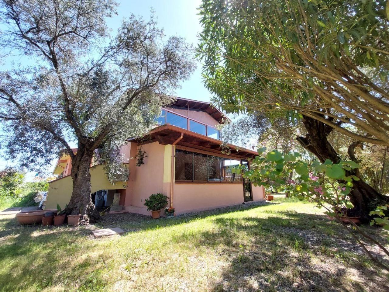 Ferienwohnung Casa L' Antico Ulivo Iglesias Exterior foto