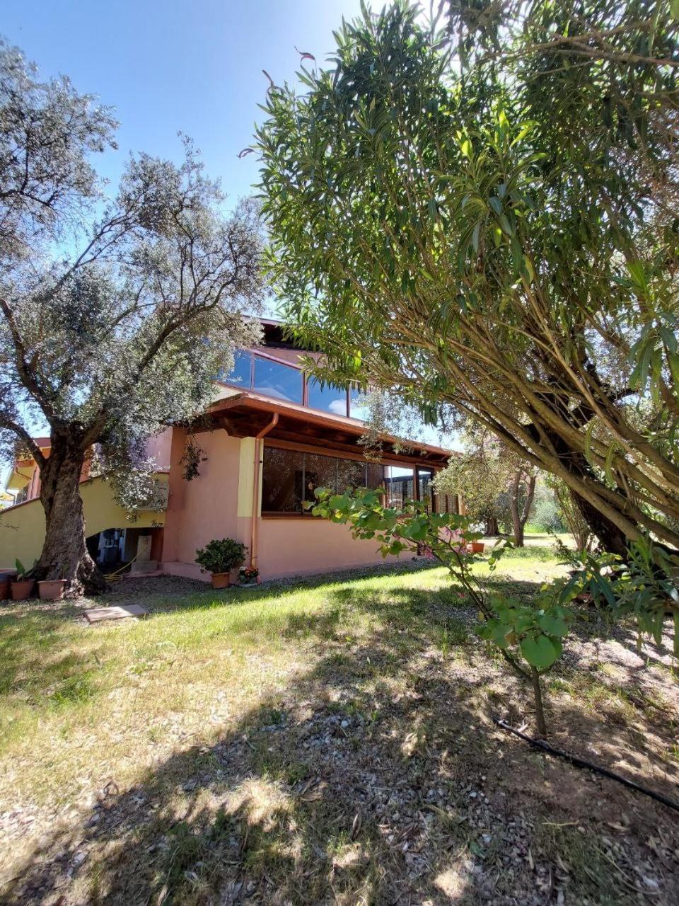 Ferienwohnung Casa L' Antico Ulivo Iglesias Exterior foto